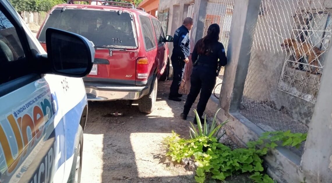 Multan en Hermosillo a más de 400 personas por maltrato animal en 2023