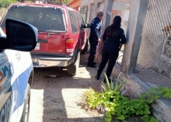 Multan en Hermosillo a más de 400 personas por maltrato animal en 2023