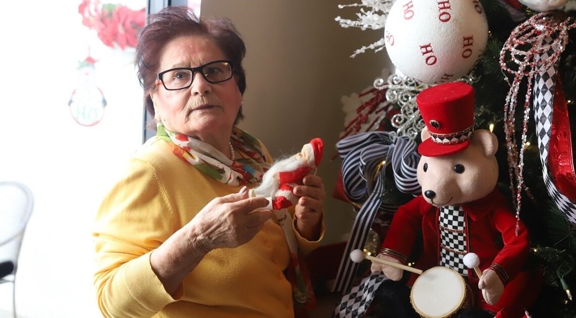 Virginia viste de Navidad árboles y casas en Hermosillo ¡Por puro gusto!