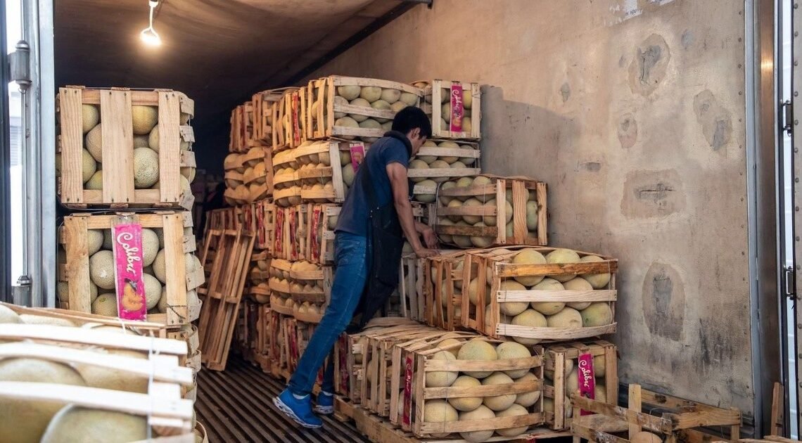 Contaminación por salmonelosis de melones exportados de Sonora pudo presentarse en EU: Aoans
