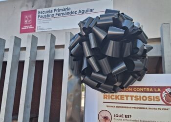 Hermosillo: Aterran garrapatas a los vecinos en Urbi Villa Campestre