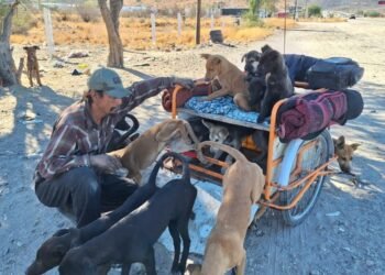 “El señor de los perros de la calle” pide ayuda para alimento | Noticias de México