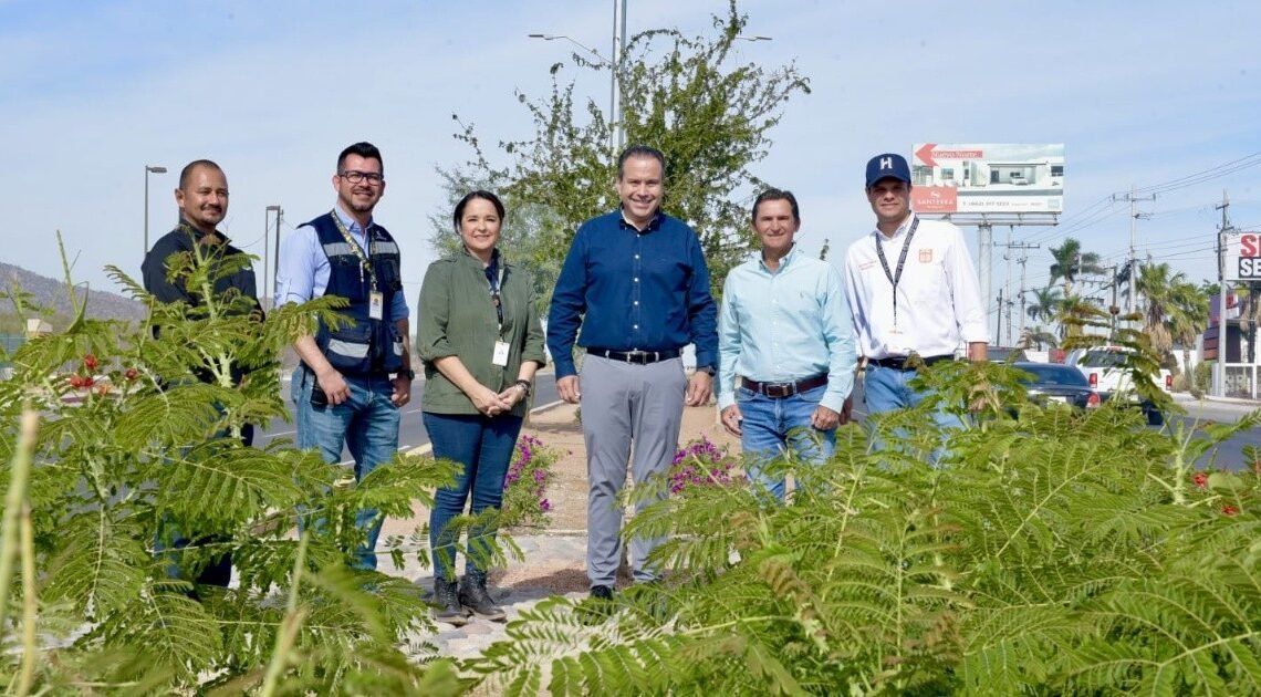 Hermosillo: Supervisa Antonio Astiazarán el remozamiento del camellón del bulevar Mazón López