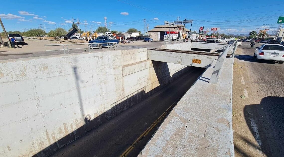 Caballo pierde la vida tras caer desde un puente, mientras su jinete sobrevive con lesiones leves en San Pedro, El Saucito