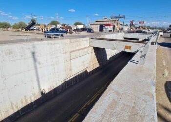 Caballo pierde la vida tras caer desde un puente, mientras su jinete sobrevive con lesiones leves en San Pedro, El Saucito