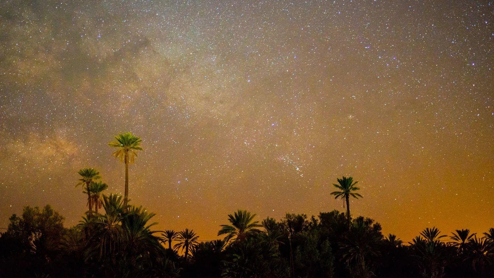 Oasis, Sahara