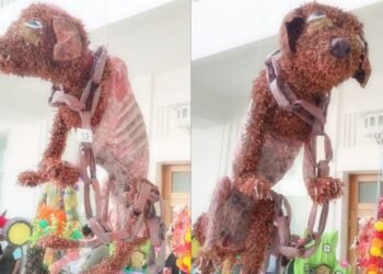 Piñata que denuncia maltrato animal divide opiniones en redes
