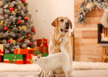 ¡Navidad Segura para Mascotas! Consejos para Proteger a tus Amigos Peludos
