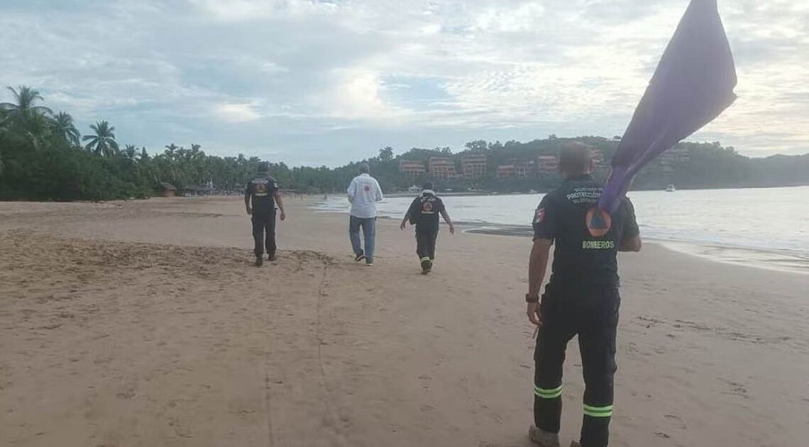 Turista belga muere por ataque animal en playas de Guerrero; no se sabe si fue tiburón o cocodrilo Turista belga muere por ataque animal en playas de Guerrero; no se sabe si fue tiburón o cocodrilo
