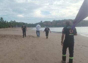 Turista belga muere por ataque animal en playas de Guerrero; no se sabe si fue tiburón o cocodrilo