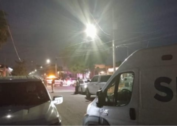 Hombre pierde la vida tras caer en un cerco mientras podaba un árbol