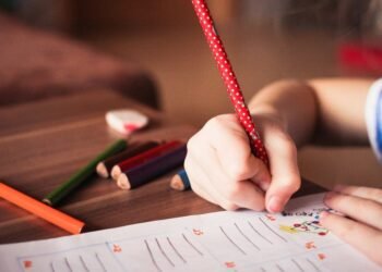 Hermosillo tiene 175 mil personas en rezago educativo