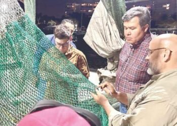 La pesquería de camarón califica 95% por DET’s