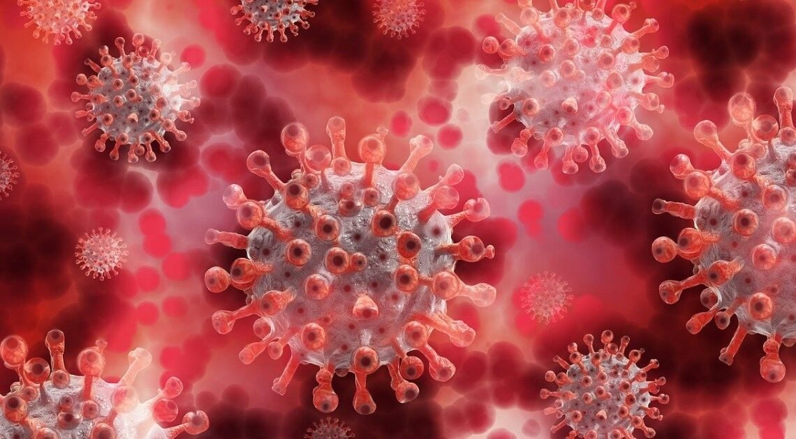 ¿Qué sabemos sobre pirola, la variante altamente contagiosa del Covid-19?