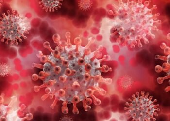 ¿Qué sabemos sobre pirola, la variante altamente contagiosa del Covid-19?