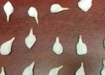 Arrestan a “El Machi” con quince envoltorios de “crystal” en Hermosillo