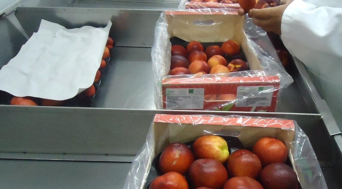 Cofepris advierte sobre riesgo de contaminación en frutas de la marca HMC Farms Cofepris advierte sobre riesgo de contaminación en frutas de la marca HMC Farms