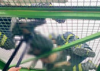 Bomberos rescatan a hombre electrocutado en puente peatonal de CDMX