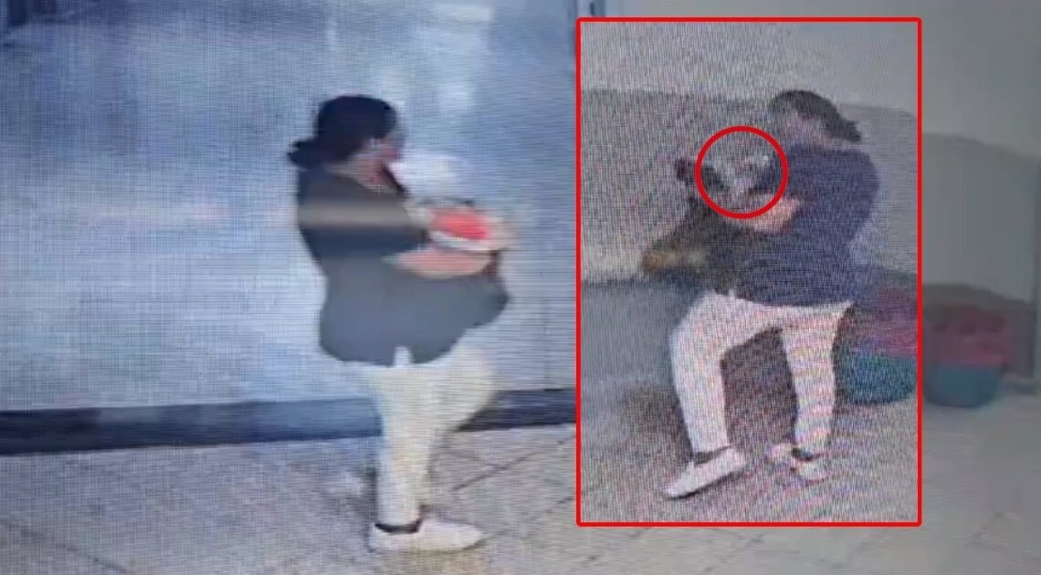 Finge ser enfermera y roba bebé en mochila; todo quedó captado en video