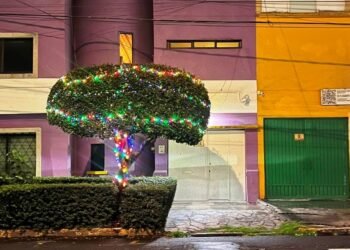 Hombre de la CDMX amenaza con denunciar la colocación de luces navideñas en un árbol; Chumel Torres se burla