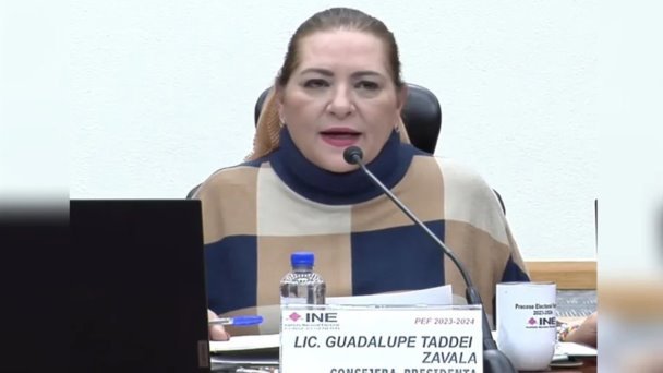Dan ultimátum a Guadalupe Taddei para nombramientos en el INE Dan ultimátum a Guadalupe Taddei para nombramientos en el INE