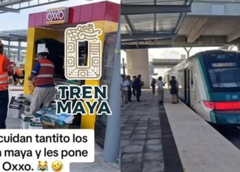 Hallan mini Oxxo en Tren Maya y se viraliza en redes