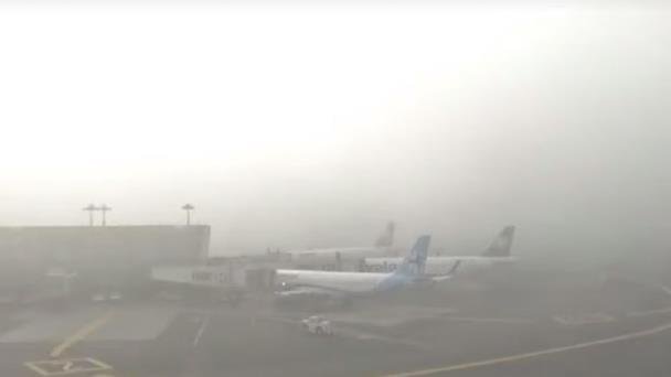 Aeropuerto de GDL cierra por niebla; afecta a 74 vuelos Aeropuerto de GDL cierra por niebla; afecta a 74 vuelos