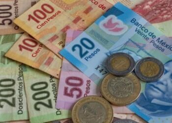 El peso le ganó al dolar terreno este año pero perdió ante una moneda