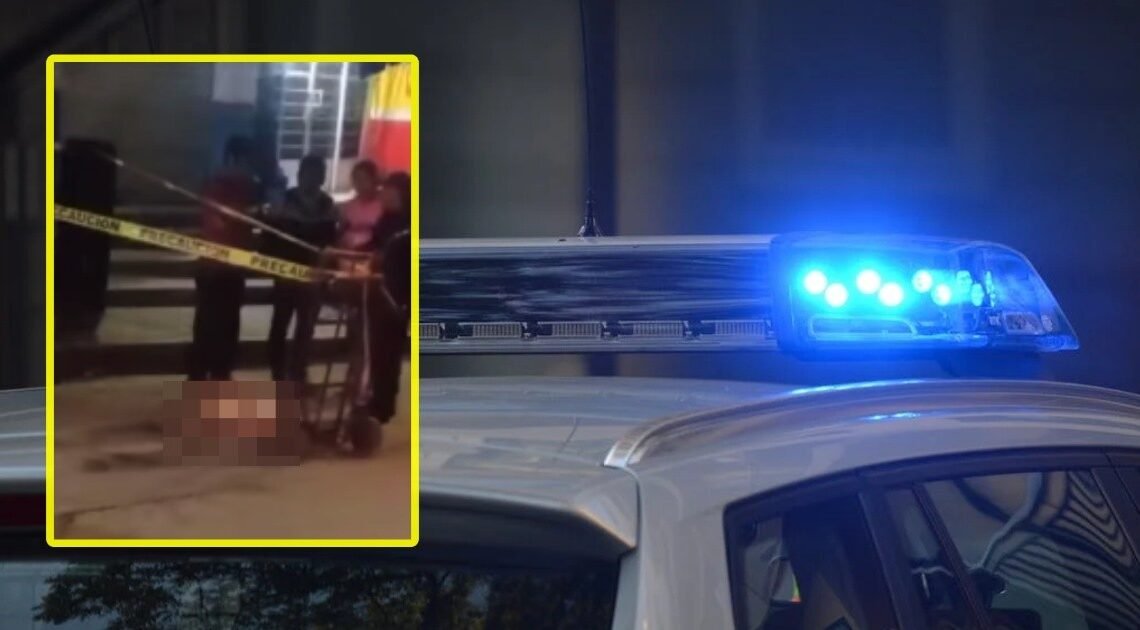 Cuerpo de bebé desmembrado fue rescatado de las fauces de perros hambrientos antes de que se lo comieran por completo