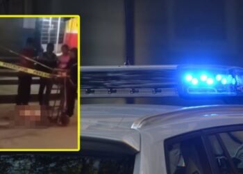 Cuerpo de bebé desmembrado fue rescatado de las fauces de perros hambrientos antes de que se lo comieran por completo
