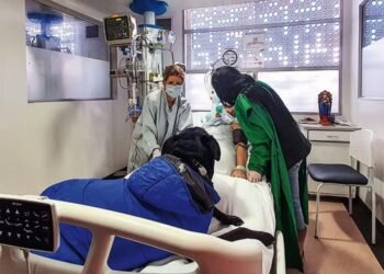 “Dio su vida por ella”: Mujer que estaba en coma despertó cuando su perrito fue a visitarla, pero pocos días después el fiel compañero murió