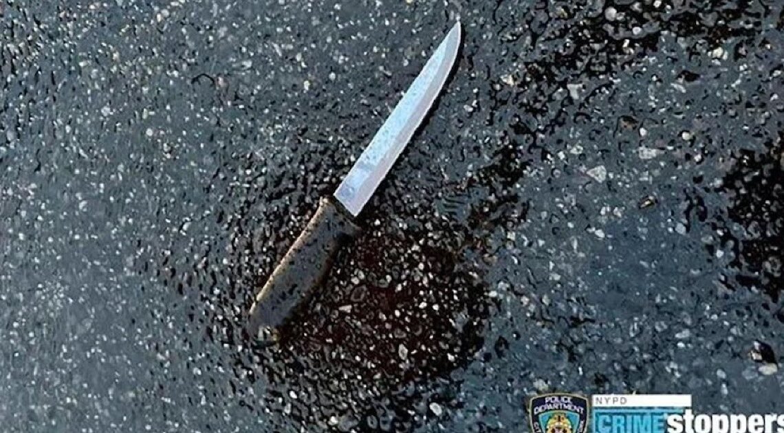 Hombre mata a su familia a puñaladas, entre ellos 2 niños, y hiere a policías tras una disputa en Nueva York