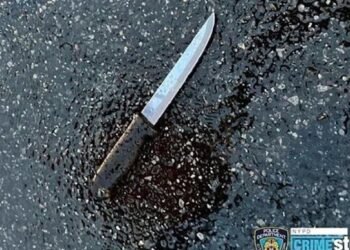Hombre mata a su familia a puñaladas, entre ellos 2 niños, y hiere a policías tras una disputa en Nueva York