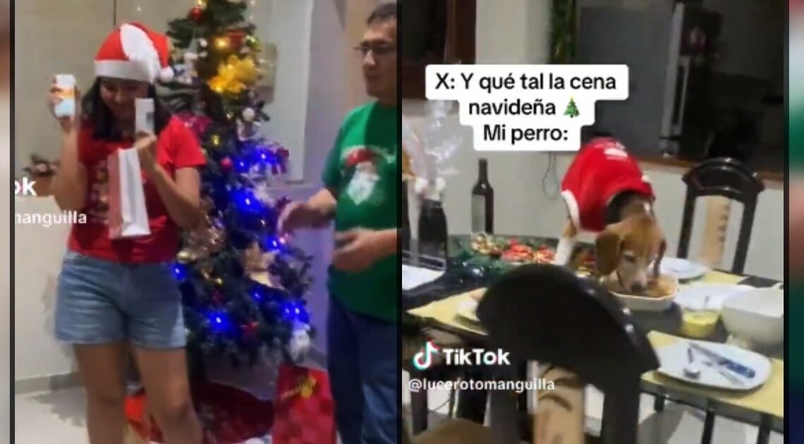 VIDEO: Perrito se come la cena navideña mientras su familia hacía intercambio de regalos VIDEO: Perrito se come la cena navideña mientras su familia hacía intercambio de regalos