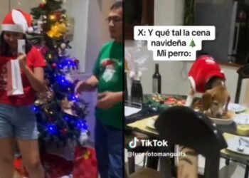 VIDEO: Perrito se come la cena navideña mientras su familia hacía intercambio de regalos
