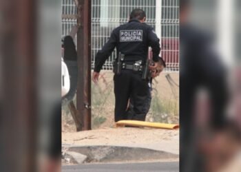 Jesús Manuel “N” detenido por portación de drogas en colonia Lomas del Norte