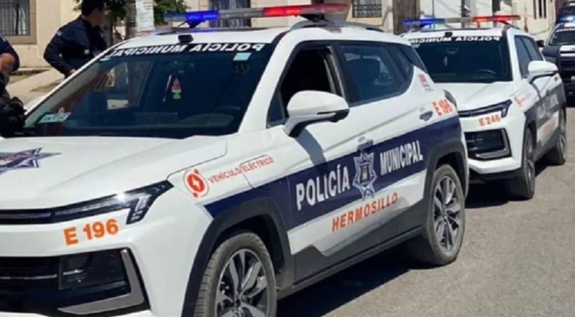 Policía Preventiva detiene a 73 personas por cometer delitos en Hermosillo Policía Preventiva detiene a 73 personas por cometer delitos en Hermosillo