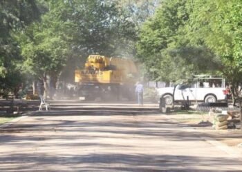 Ambientalistas supervisan obras del Parque Madero en su remodelación