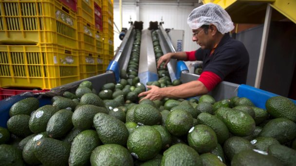 Sonora aumentó 13.7% el valor de sus exportaciones Sonora aumentó 13.7% el valor de sus exportaciones