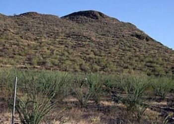 Zona arqueológica trincheras es visitada por estudiantes y pases gratuitos