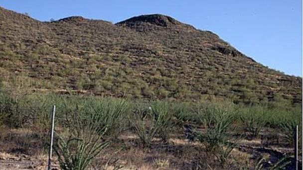 Zona arqueológica trincheras es visitada por estudiantes y pases gratuitos Zona arqueológica trincheras es visitada por estudiantes y pases gratuitos