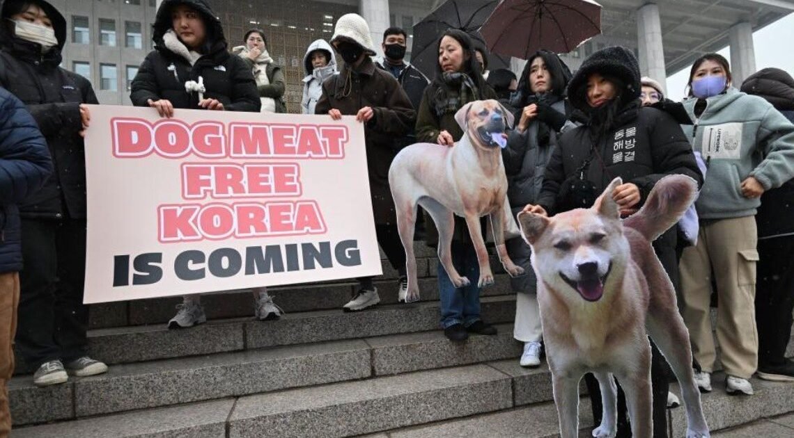 Corea del Sur prohíbe la venta de carne de perro pese a la oposición de las viejas generaciones