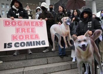 Corea del Sur prohíbe la venta de carne de perro pese a la oposición de las viejas generaciones