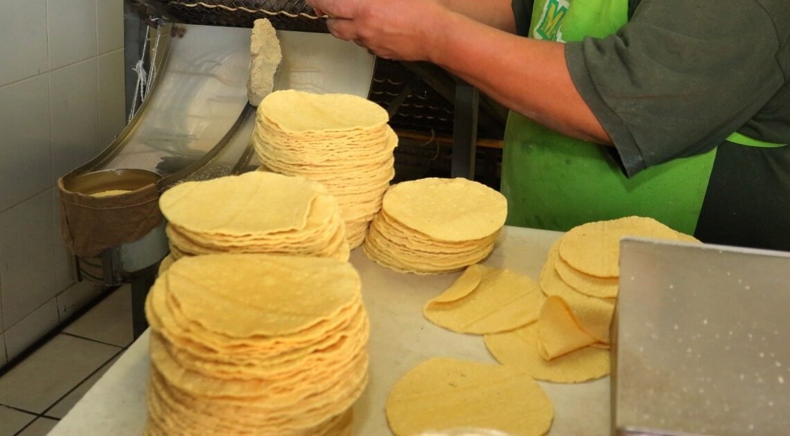 Registra Hermosillo el precio más caro de la tortilla en el País
