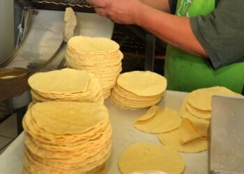Registra Hermosillo el precio más caro de la tortilla en el País