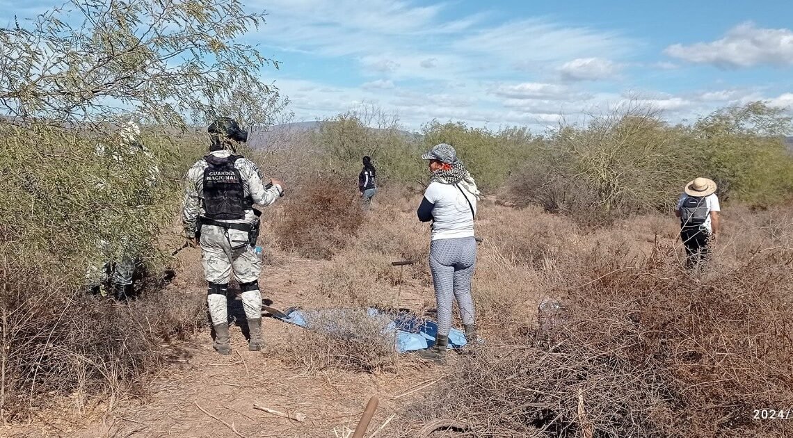 FGJES localiza restos humanos en comunidad “El Choyudo”