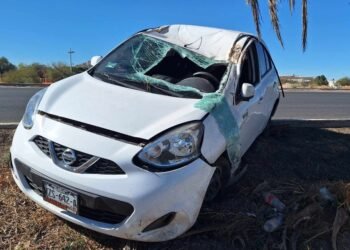 Mujer choca contra una palma en la carretera a La Colorada