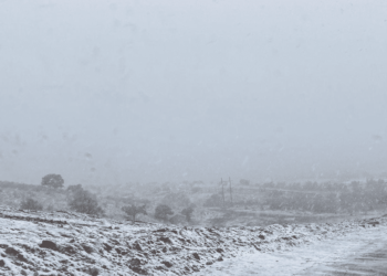 Cae primera nevada en Nogales