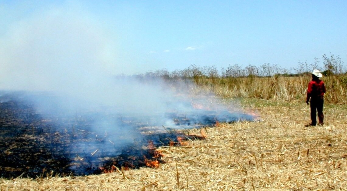 Hermosillo: Ecología le lee la cartilla a agricultores para evitar quemas