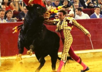 La Plaza México suspende nuevamente corridas de toros tras decisión judicial